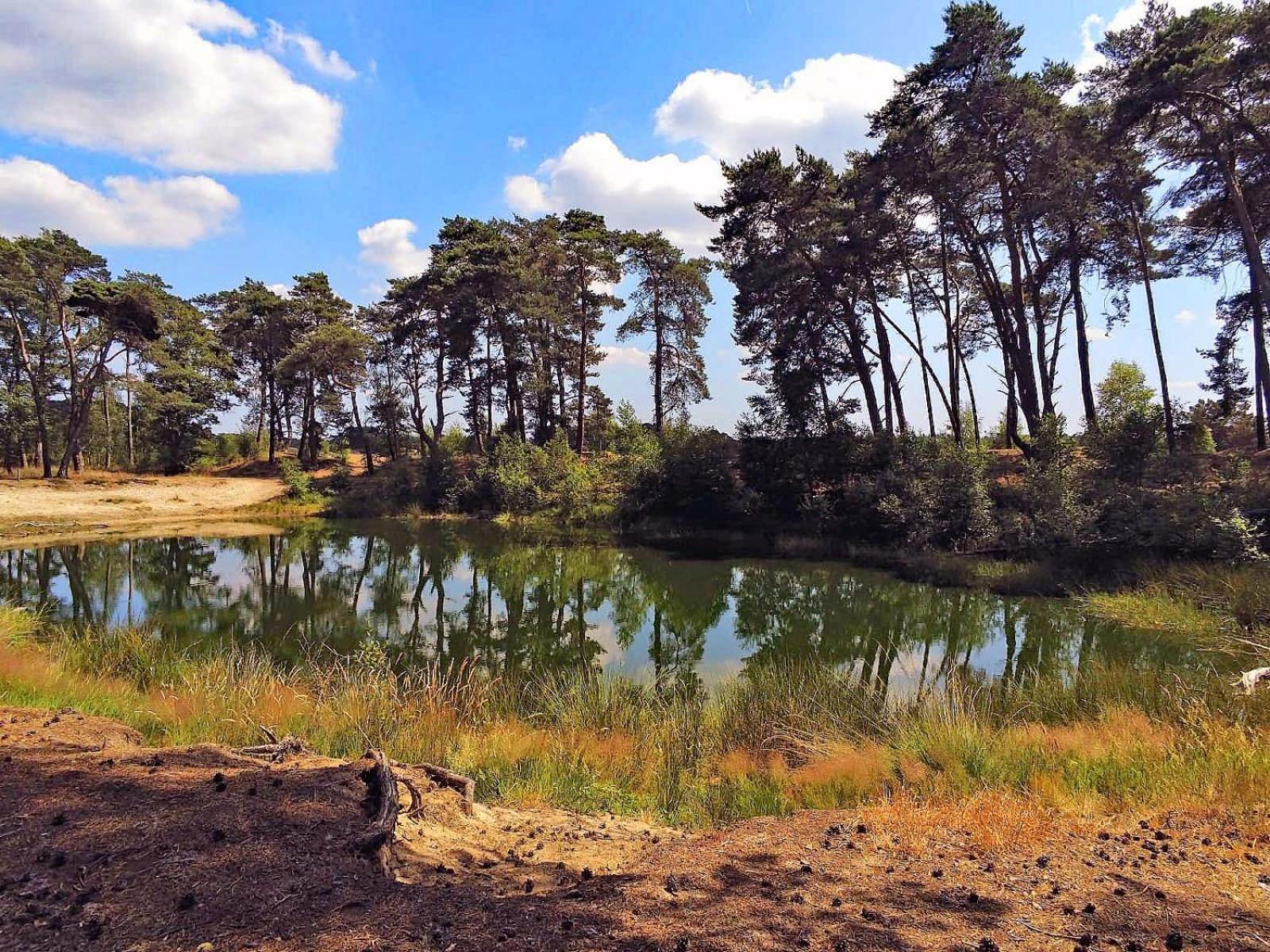 Veluwe Vakantiehuis - Bosuil Lodge 卢特伦 外观 照片